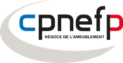 CPNEFP - Formation Electromenager, Multimdia et Tlphonie