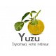 YUZU