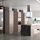 CELTIS Cuisines Morel
