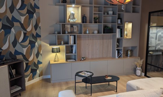 Concepteur Vendeur PLACARD & RANGEMENT H/F